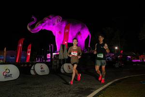 BIB: 
                            <button type="button" onclick="openModal(26534567)" class="btn btn-primary btn-sm float-right btn-popup" data-toggle="modal" data-target=".modal-high-quality">
                        <i class="fas fa-shopping-cart"></i> Add to Cart
                    </button>
                                            <button type="button" onclick="isThisMe(26534567, true)" class="btn btn-success btn-sm float-right btn-popup btn-isme hidden" data-toggle="tooltip" data-placement="bottom" title="นี่คือรูปของคุณใช่ไหม คลิกที่นี่เพื่อเอาเข้าอัลบั้ม">
                        <i class="fas fa-plus"></i> Add to album
                    </button>
                    <button type="button" onclick="isThisMe(26534567, false)" class="btn btn-warning btn-sm float-right btn-popup btn-isnotme hidden">
                        <i class="fas fa-ban"></i> Remove from album
                    </button>